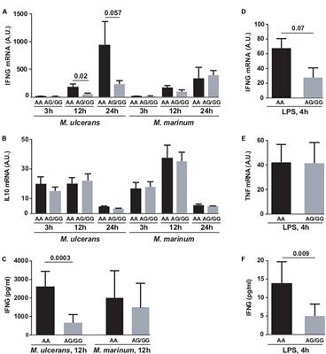 Susceptibility to Mycobacterium ulcerans Disease (Buruli ulcer) Is Associated with IFNG and iNOS Gene Polymorphisms